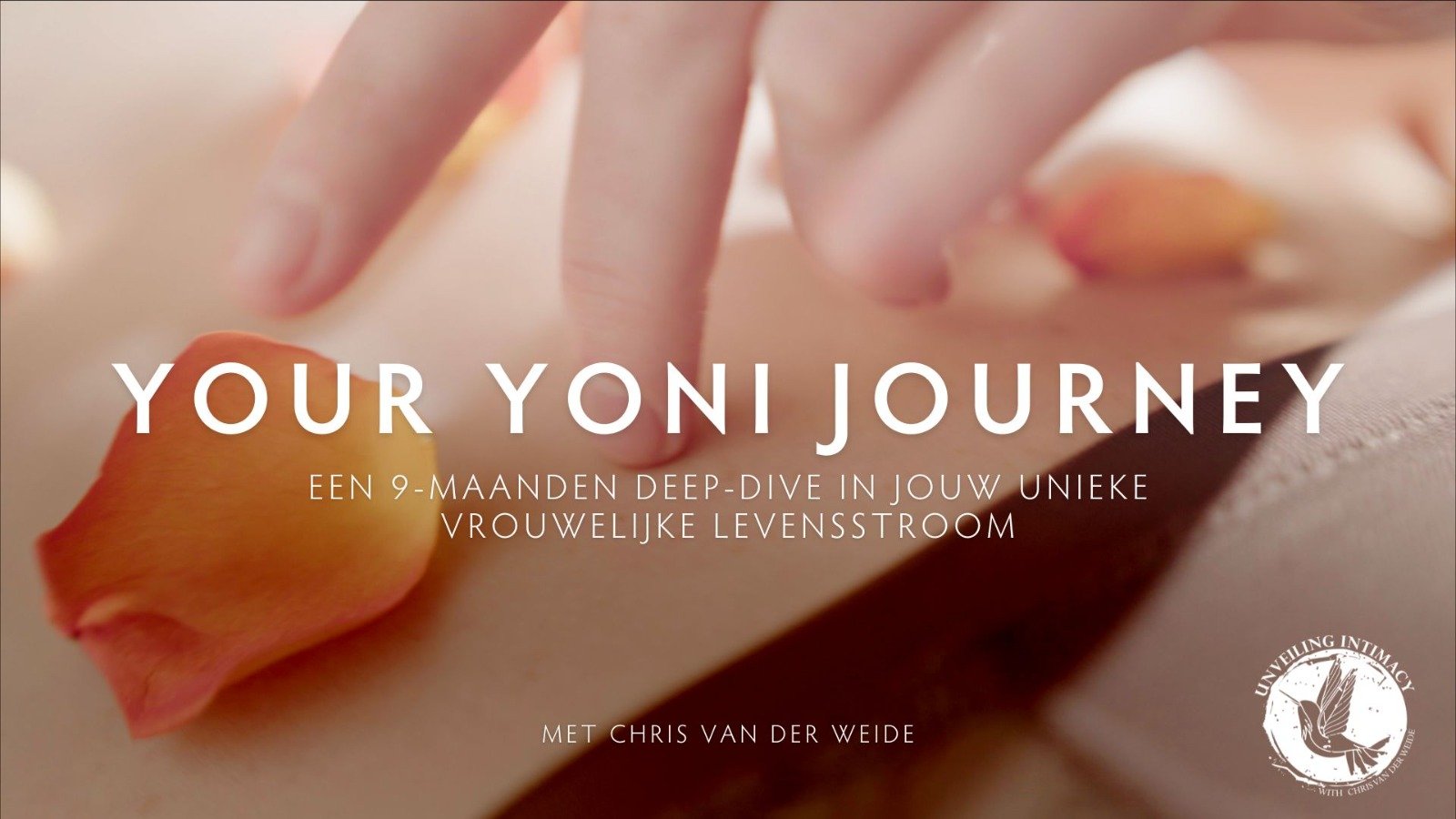 YYJBannerNEW